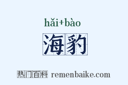 海豹是什么意思的图片